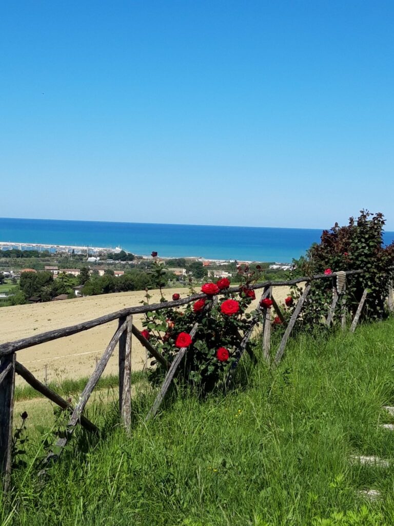 Agriturismo Abbruzzetti