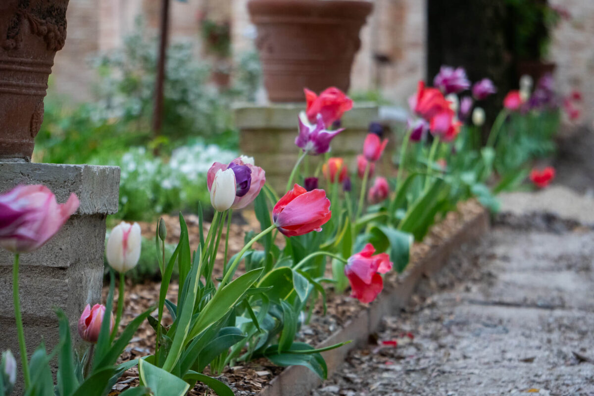 parco-villa-vitali-fermo08747