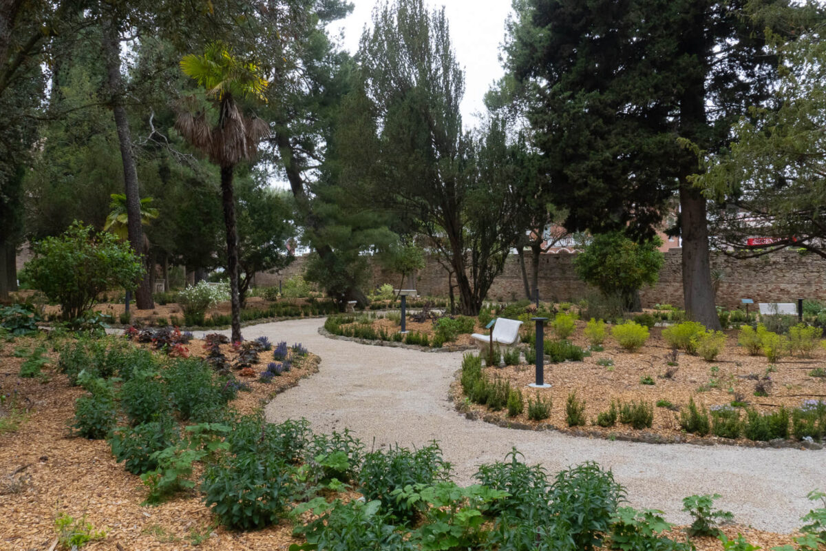 parco-villa-vitali-fermo08783